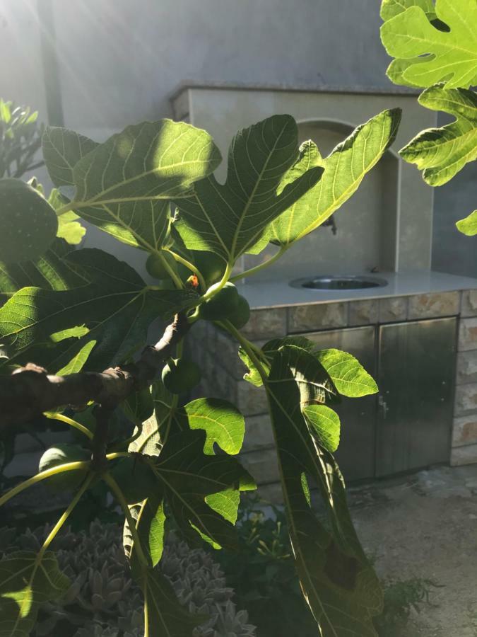 Villa Chiara Βόντιτσε Εξωτερικό φωτογραφία