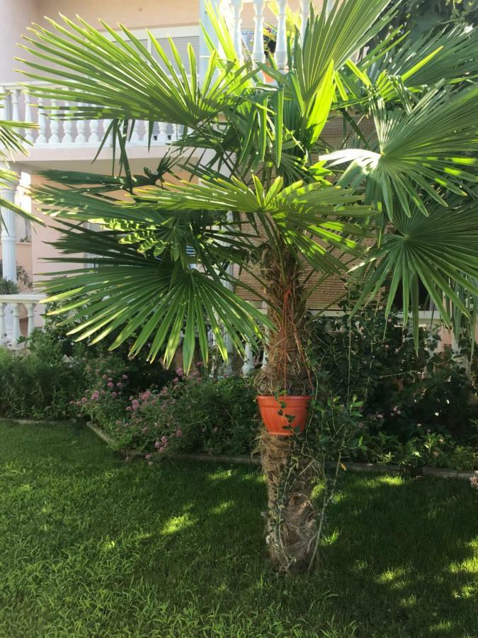 Villa Chiara Βόντιτσε Εξωτερικό φωτογραφία
